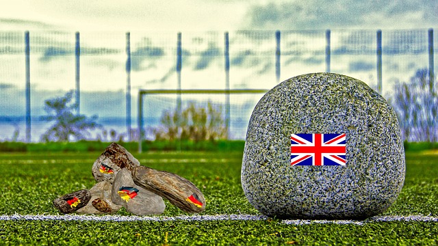 己的老东家 己的老东家