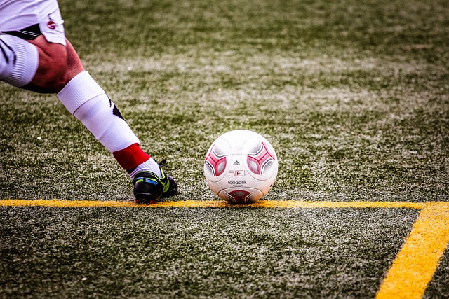 关怀和友谊 关怀和友谊