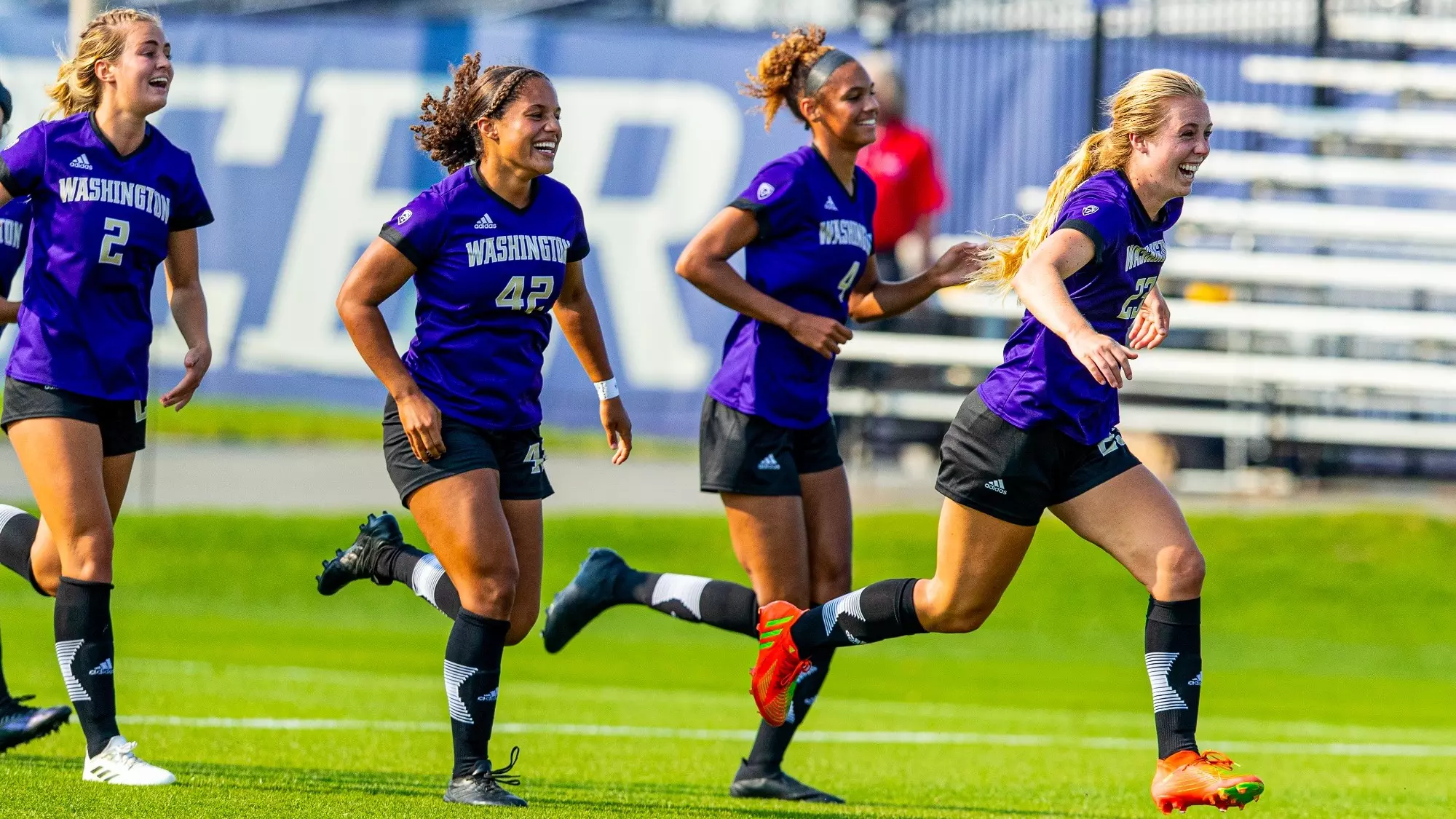 采用科学系 采用科学系