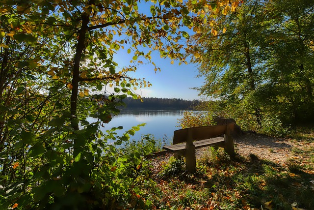 不败纪录不 不败纪录不
