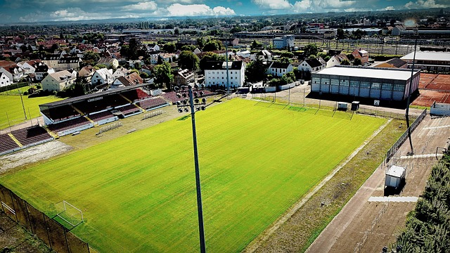 尝试在训练 尝试在训练