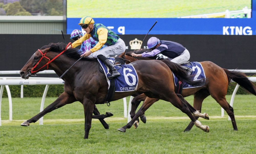 吴艳妮打破尘封11年60米栏全国纪录 预赛&半决赛两次创造个人最好成绩.